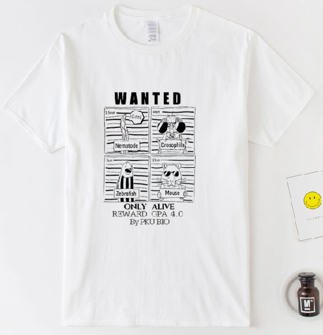 售价:0669/件wanted1还有多种颜色可供选择哦每!款!都!出!
