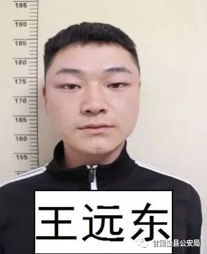 犯罪嫌疑人:王远东,男性,汉族.身份证号码:622630199812160018.