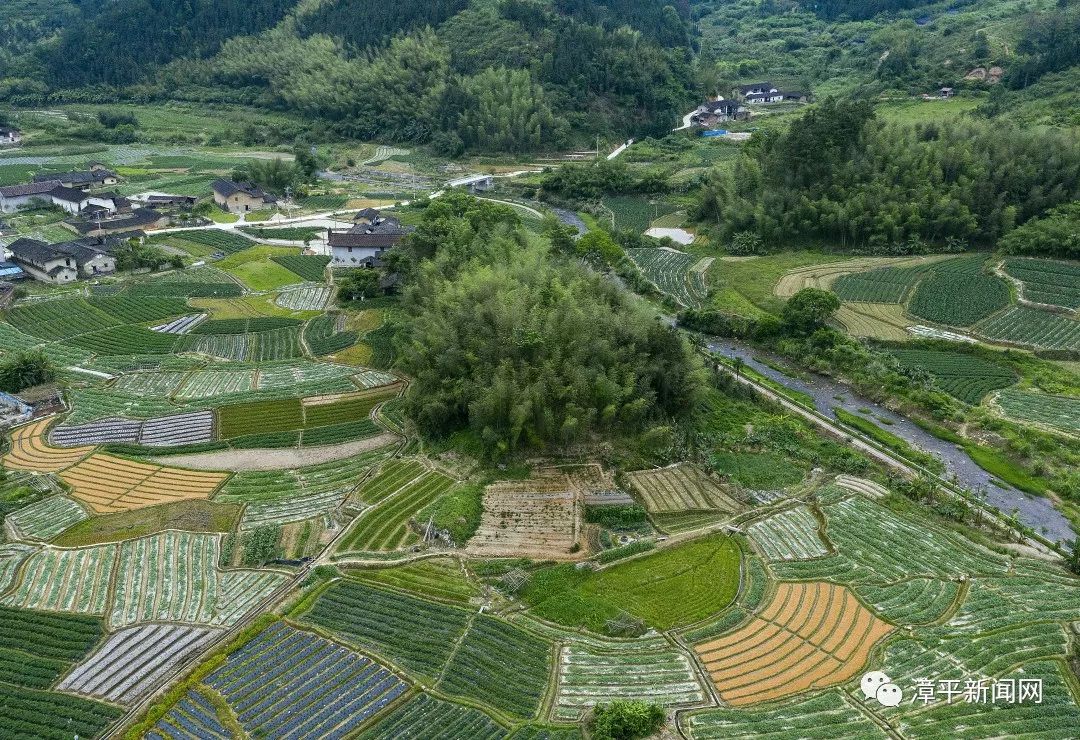 藏不住了漳平乡村风景美如画