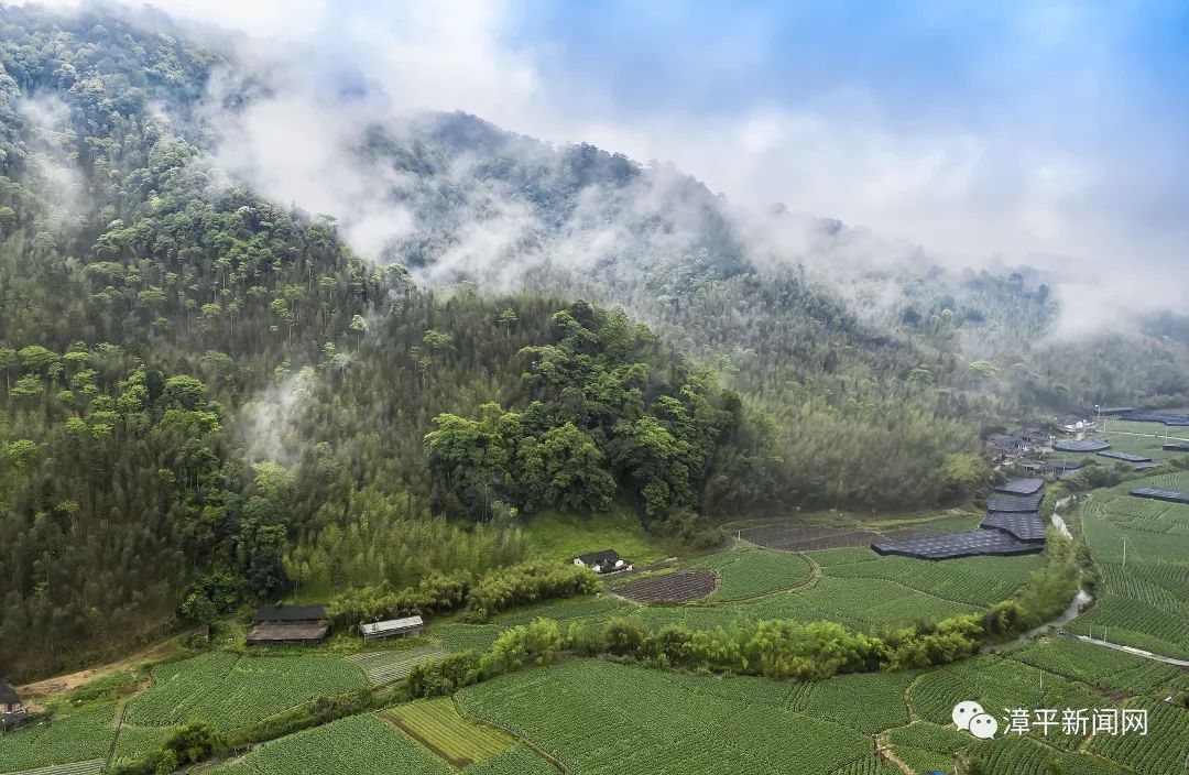 藏不住了漳平乡村风景美如画