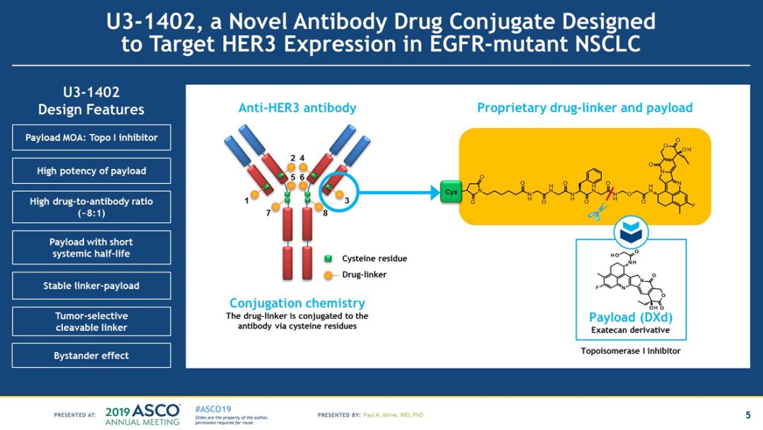 【asco2019重磅消息】her3抗体偶联体药物u3-1402