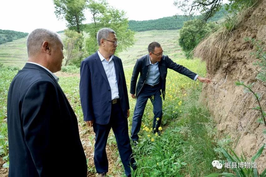 中国长城学会副会长董耀会一行来岷县调研秦始皇长城遗址