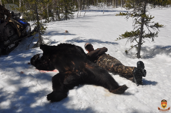 狩猎游记2019年5月俄罗斯棕熊狩猎