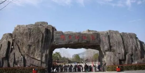 最新合肥野生动物园有望搬疑似选址曝光