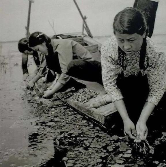 看看50年代中国女性有多美,最后两张为杀猪女神!