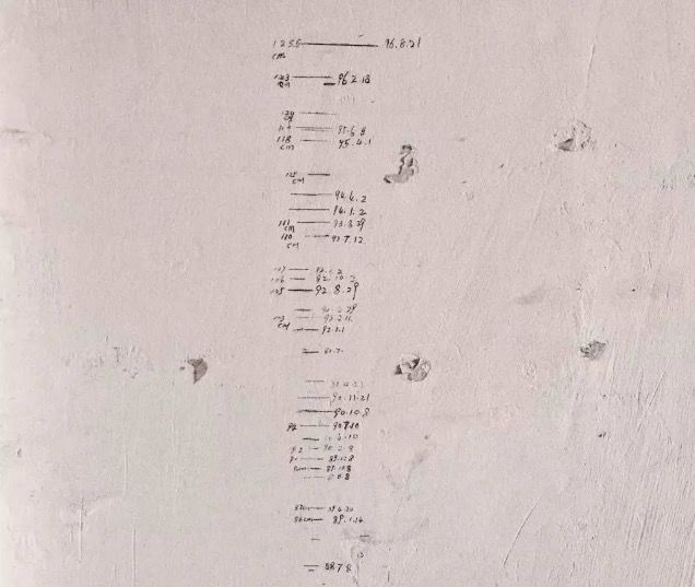 电子琴红枣树的曲谱_红枣树电子琴简谱(2)