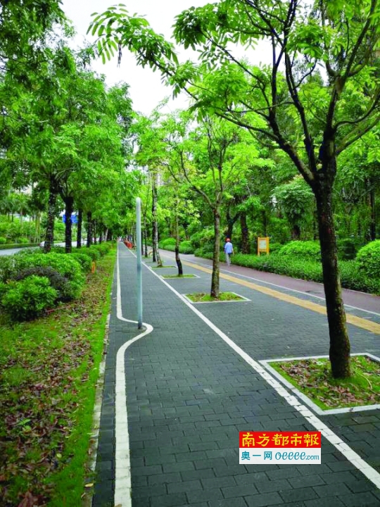 见习记者蔡宇晴摄后立柱已移到人行道旁边的绿化带中.