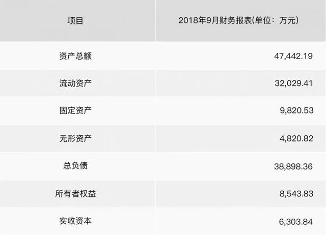 三、资产状况