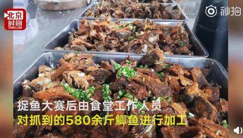 【大公观察】高三学生徒手抓鱼大赛引热议 学会考前心理减压轻松迎考在职教育硕士