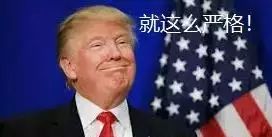 38fc8b6023744afabfa28a2518d31d2f.jpeg