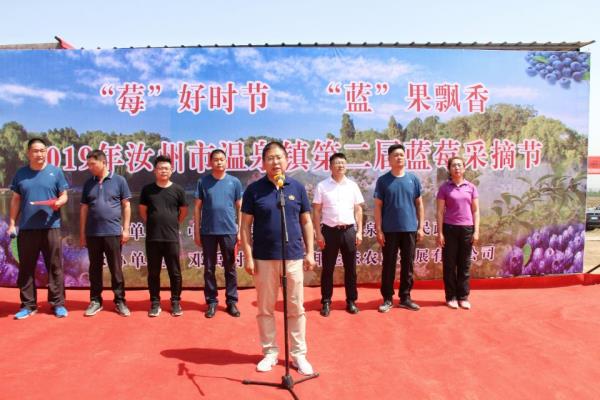 河南省汝州市温泉镇第二届蓝莓采摘节开园喽