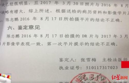 一块玉佩引来的纠纷 四川博宇司法鉴定所出具的鉴定报告,鉴定报告给