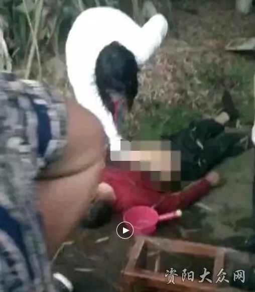 〖意外死亡的三位意外死亡的人〗