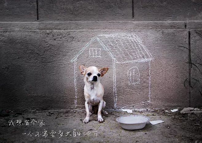4fe6c5d03f2940d59887db1817dc1542.jpeg