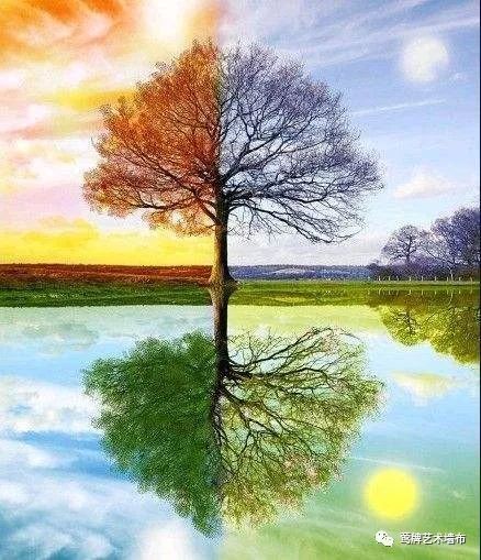 拍照用什么背景显得高级 52f26013c89740f1acdb33bc484d79b2.jpeg