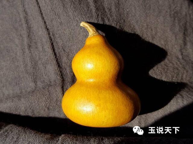 什么是龙头葫芦 54fb93d019234c4285921ef7b28777ce.jpeg