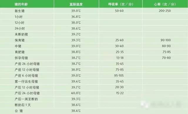 第四部分:不同年龄猪的体温,呼吸,心率正常范围