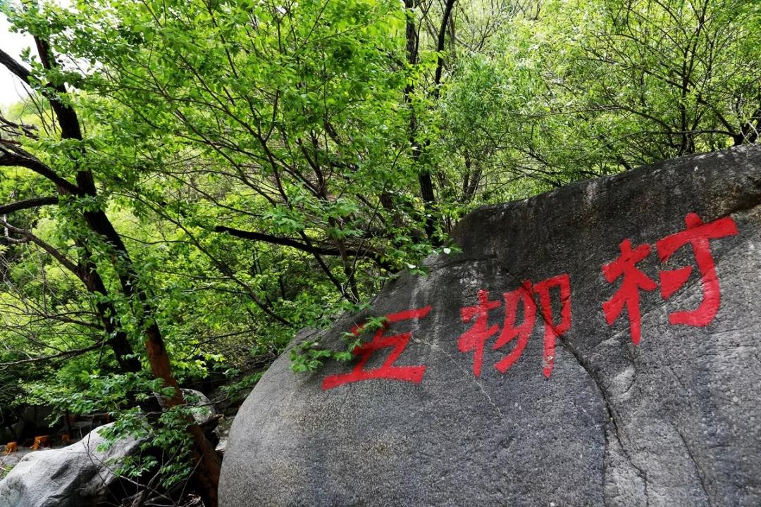 【望仙胜境】五柳村的传说