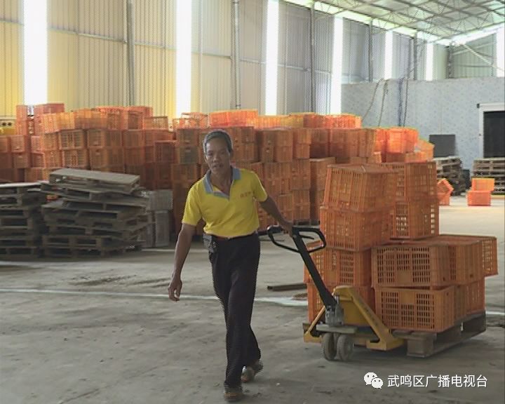 家里种菜与GDP_家里种菜卡通图解(3)