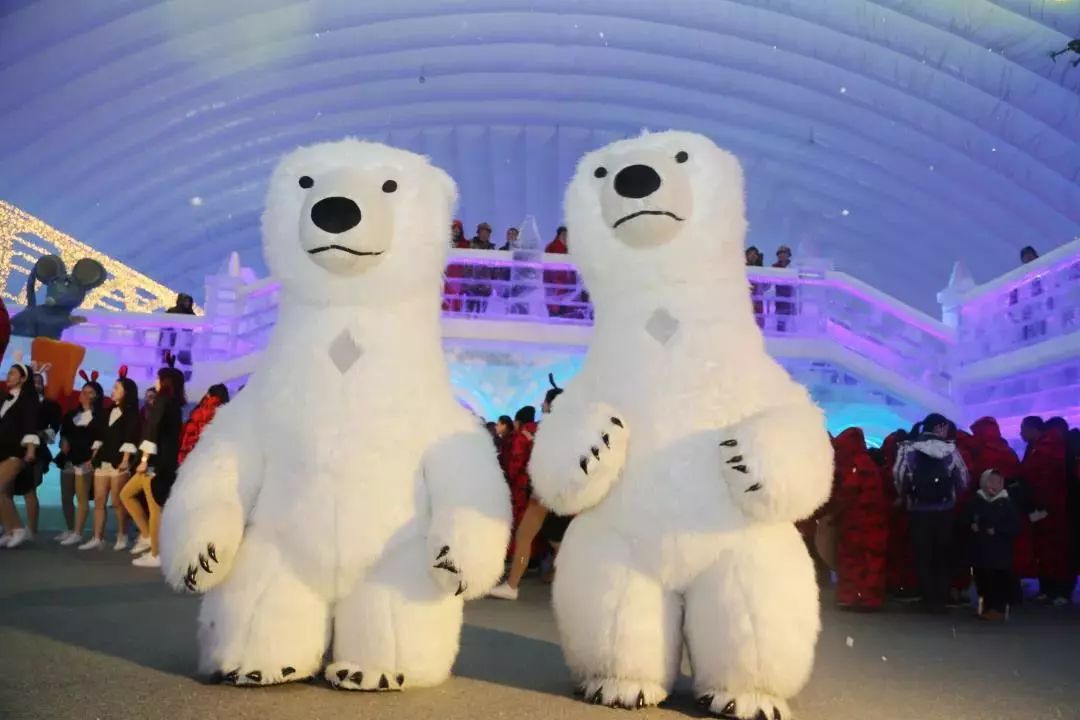 哈尔滨冰雪大世界室内冰雪主题乐园开园啦!图片