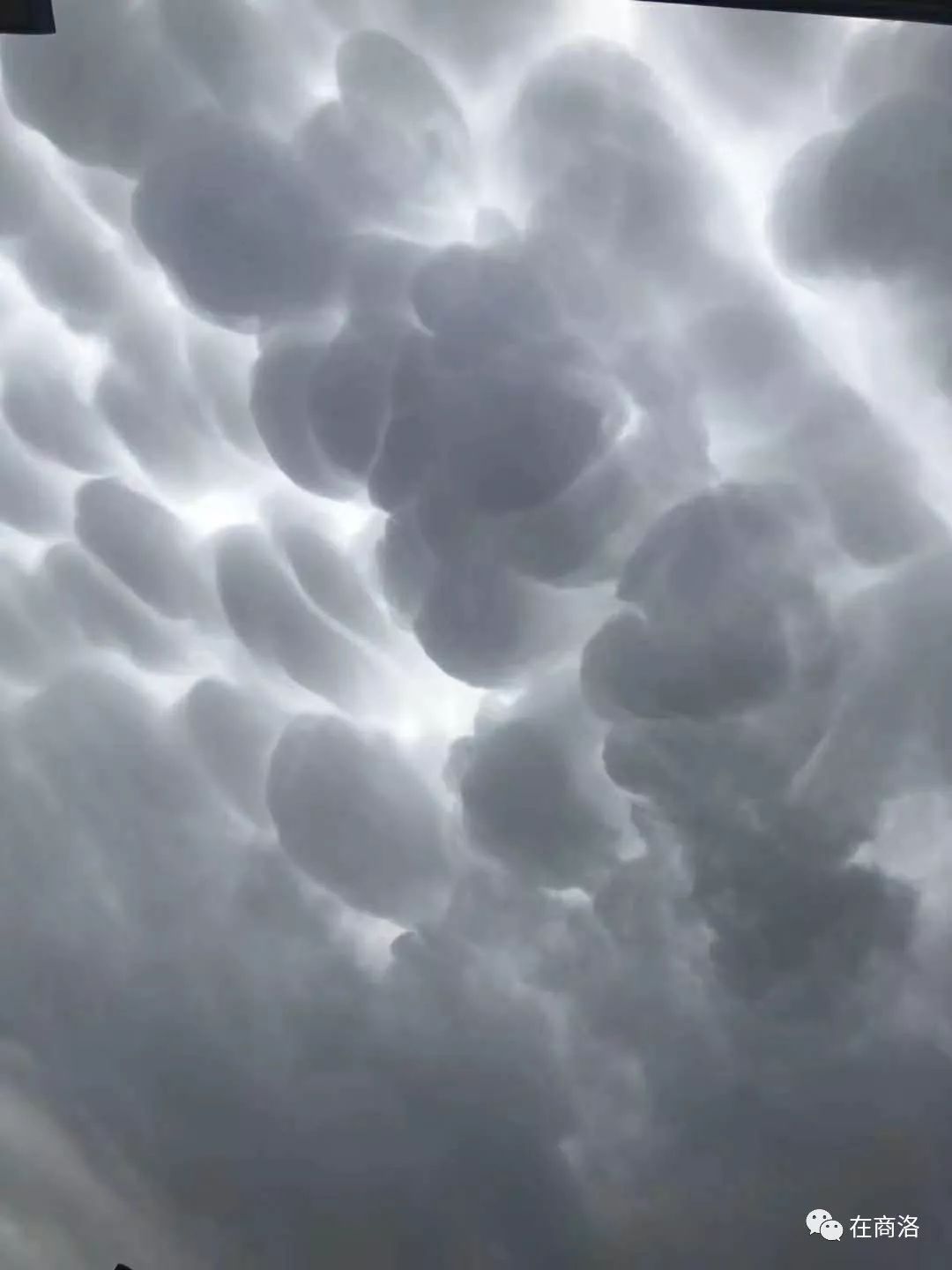 震撼今天商洛上空惊现棉花云多地大雨冰雹附最全现场图片