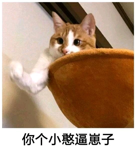 逛B站已不考虑“云吸猫”?那就刚开始“云吸小宠”“云吸狼”! 作者: 来源于:绅士动漫网