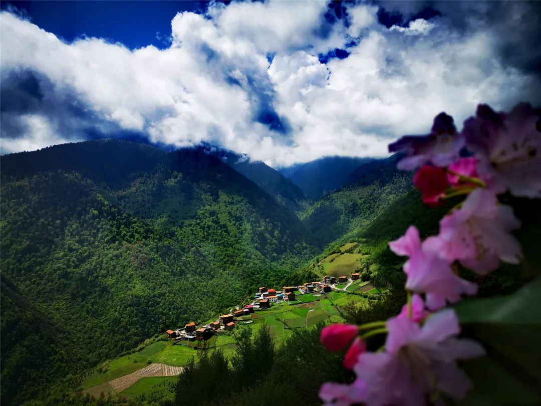 这个季节 马尔康一路景点等您来打卡