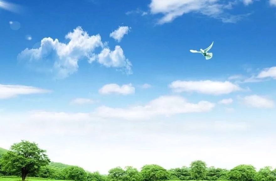 a2f53c509c9940c6b97b2bd5205d3ef7.jpeg