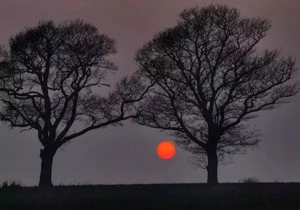 10个残忍的古波斯终极酷刑，看完瑟瑟发抖！