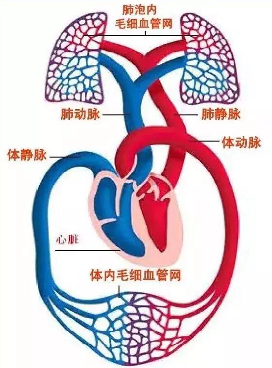                     让无数父母崩溃的孩子健康教育问题，这下可以轻松解决了