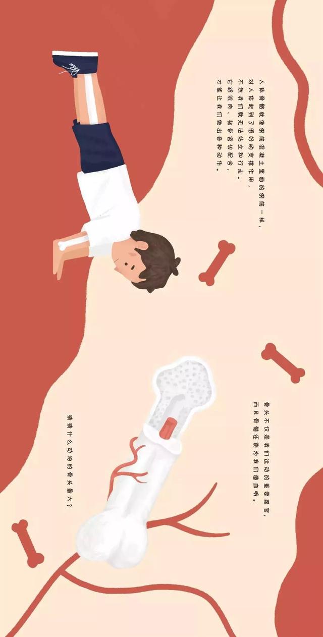                     让无数父母崩溃的孩子健康教育问题，这下可以轻松解决了