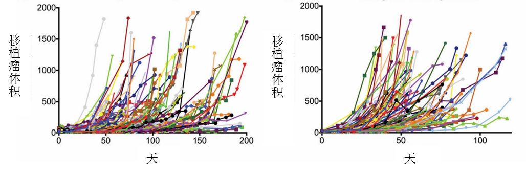 胰腺癌生存率只有7 大数据竟能帮助构建诊疗新模型?