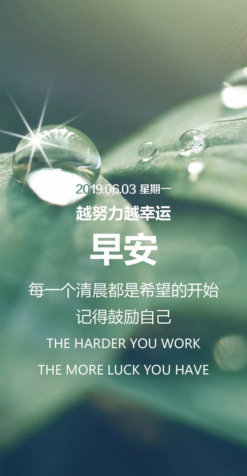 dce2b271275a407c917fd197b4700fc0.jpeg