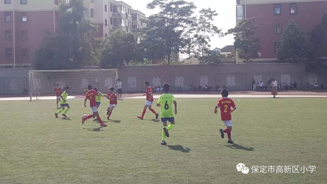 在为期14天的赛程中,保定市高新区小学足球队将参加小学四年级男子组