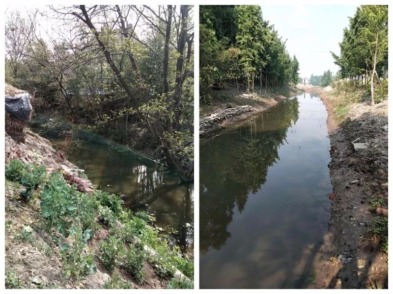 >>>思江村河道整治前后对比