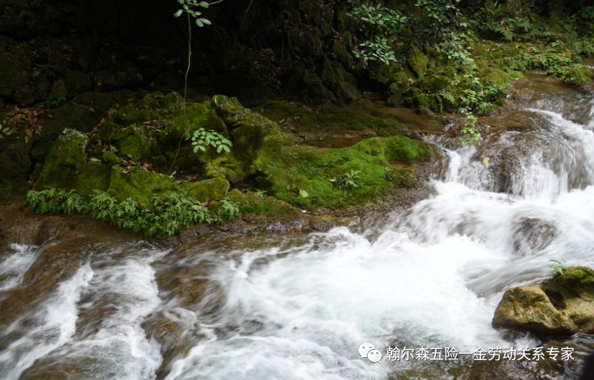 2019��ȱ�������ᱣ�սɷ���ϸ��