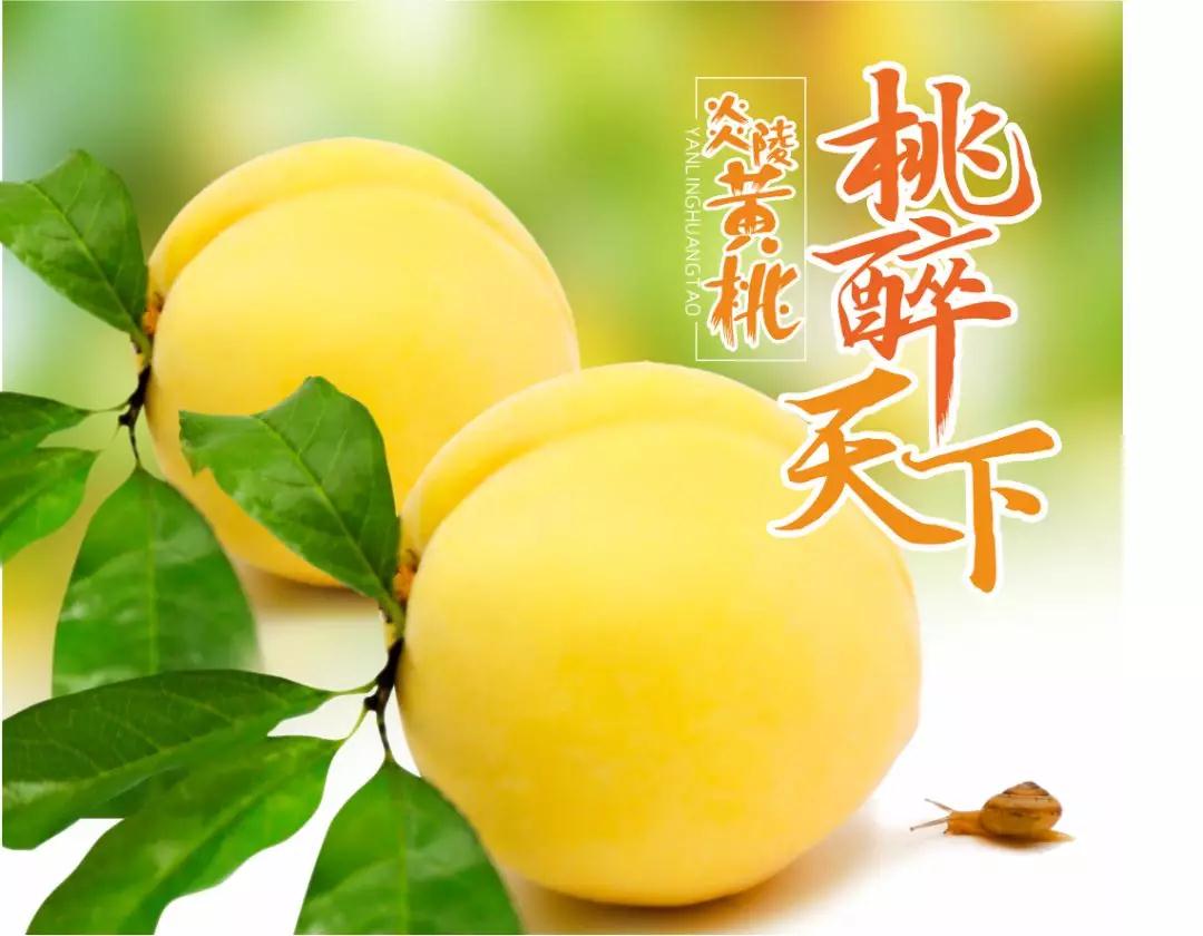 2019年炎陵黄桃什么时候成熟?