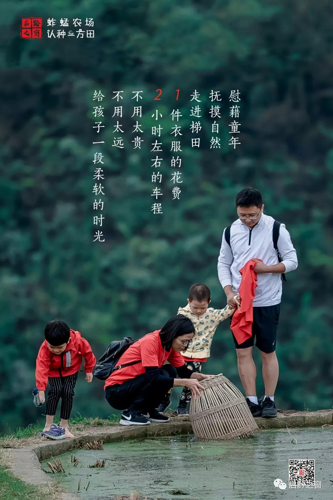 除了周杰伦的那鲁湾梯田,还有启黔之窗的高要