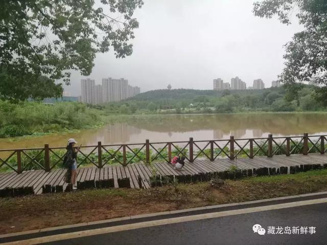 原创位于藏龙岛汤逊湖畔!江夏最美的公园!你去过吗?