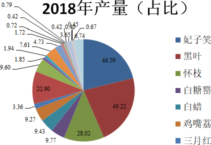 四川省枝花市经济总量排第几_经济全球化(2)