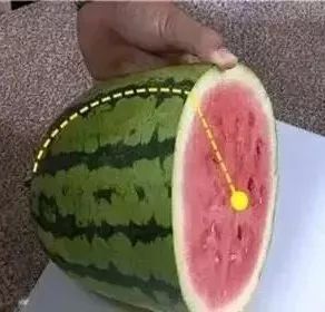 哈密瓜怎么挑选皮薄汁多 fa838c98d46e41af86363e1eddd262c3.jpeg