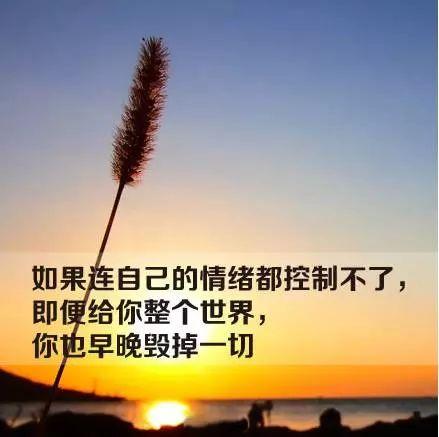fb00ffbd9e4b494f902201e0a7a82305.jpeg