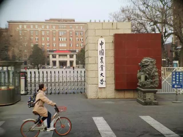 中国农大是哪里 ffe617f1cb69467bae7e0e4a515a0b3e.jpeg