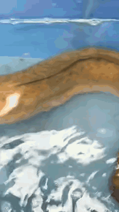 240_426 竖版 竖屏