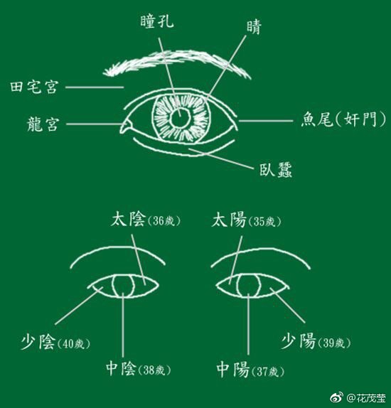 花茂莹五官之首眼睛代表了你一生的境界