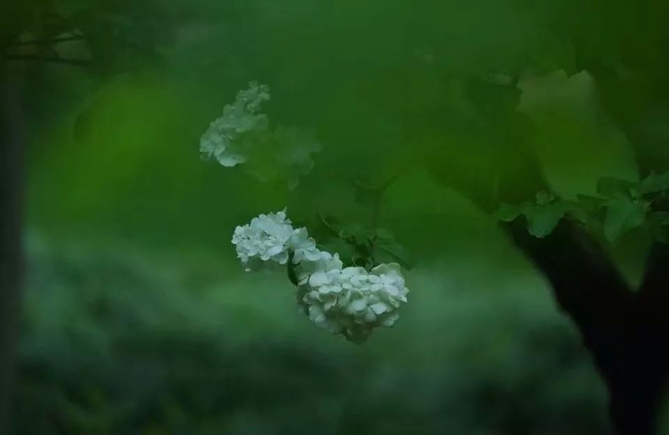0a5204d134a74e2a82c374327199f9e5.jpeg