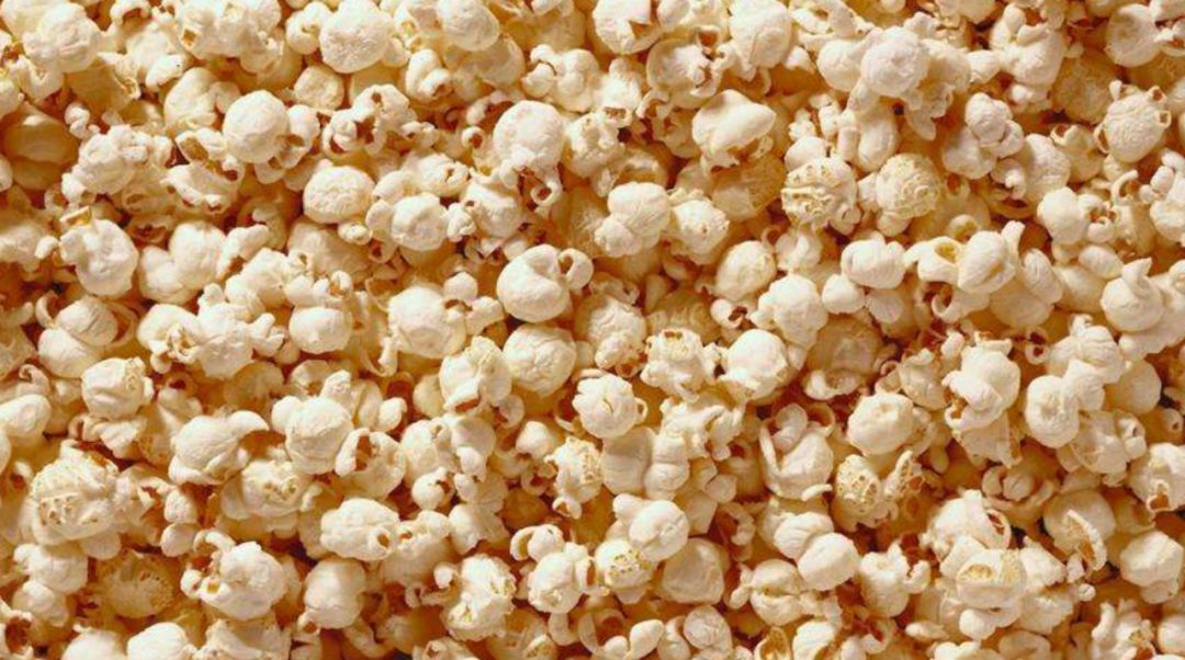 这几种植物，成就了全世界一半的吃货