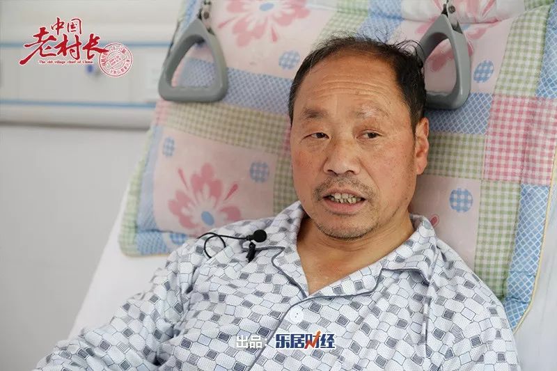 周文兴板栗熟了中国老村长⑦