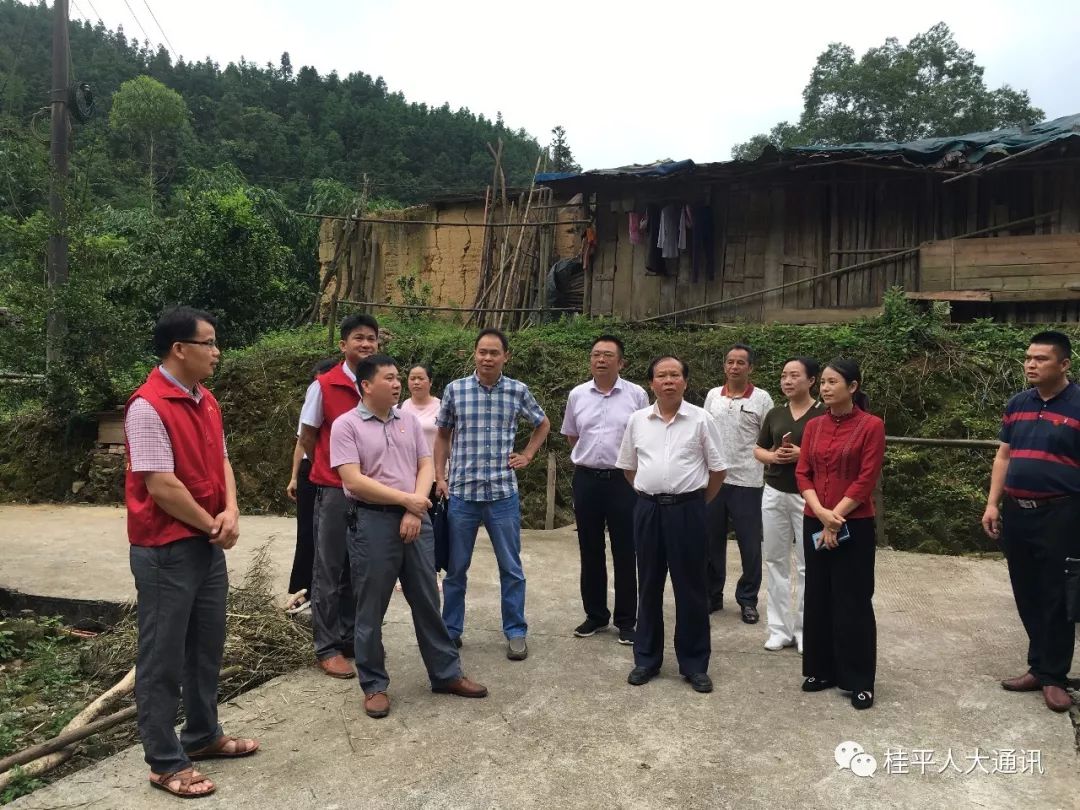 贵港人大调研组到紫荆镇调研少数民族特色村寨建设