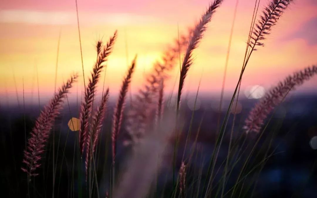 2396b49ccc8c4888a0b2188dc7451670.jpeg